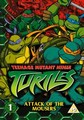 TEENAGE MUTANT TURTLES 1  (DVD)