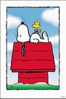 Peanuts Snoopy - Poster